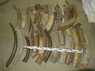 Raw material. Mammoth tusk